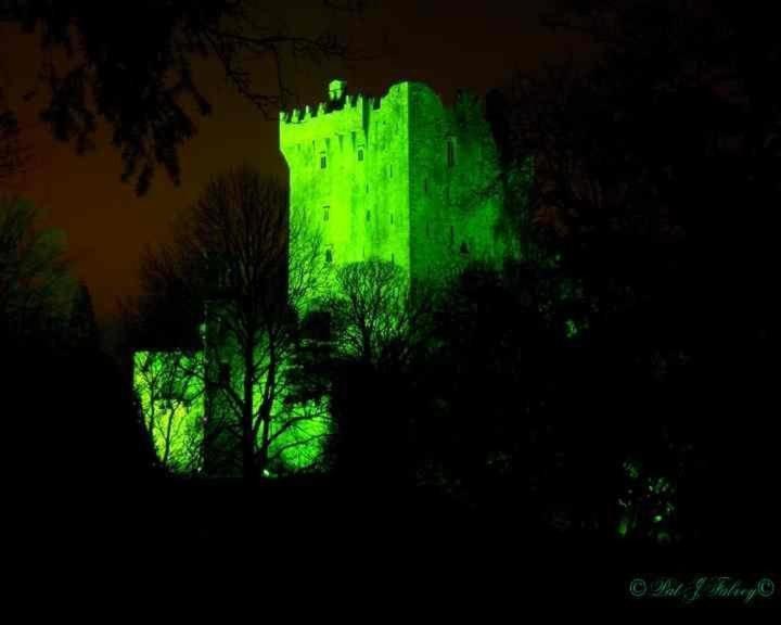 Blarney Castle Hotel Екстер'єр фото